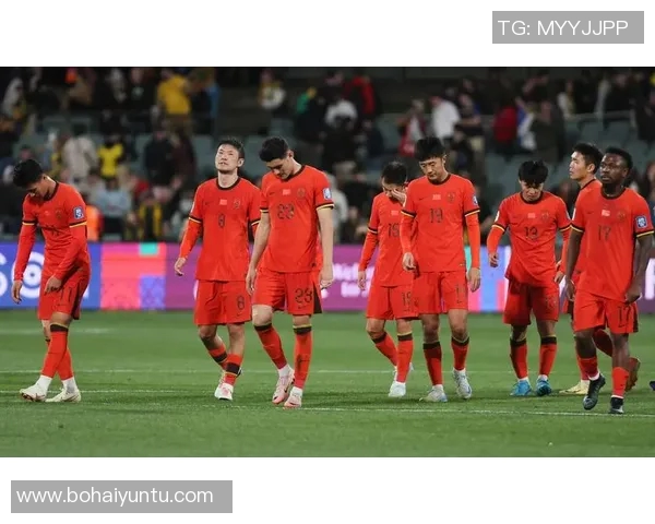 2006年中国足球球星风采回顾与成就分析